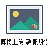 原裝全新FESTO 吸盤(pán)VAS-55-1/4-PUR-B